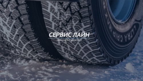 Выбор зимних грузовых шин в сезоне 2024/2025